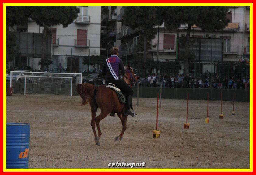 161106 equestre 094_tn.jpg